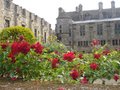 Falkland Palace image 8