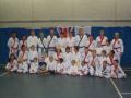 Family Karate Clubs image 1