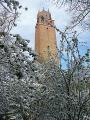 Faringdon Folly Tower logo