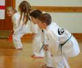 Faversham Junior Tygers Taekwondo image 5