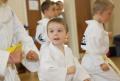 Faversham Junior Tygers Taekwondo image 7