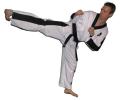 Faversham Junior Tygers Taekwondo image 9
