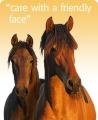 Fellowes Farm Equine Clinic Ltd logo