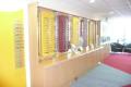 Feltham Eyecare Centre : Opticians image 3