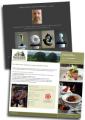 Fen Digital website optimisation, internet marketing, SEO, web design image 4