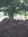 Fenland topsoil & organic composts image 1