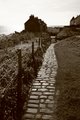 Fife Coastal Path Holidays image 2