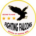 Fighting Falcons School of Martial Arts image 2