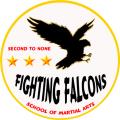 Fighting Falcons School of Martial Arts image 2
