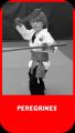 Fighting Falcons School of Martial Arts image 1