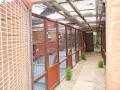 Firs Kennels Cattery image 2