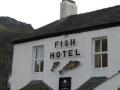 Fish Hotel image 1