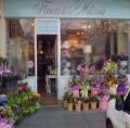 Fleurs de la Maison Online Flower Shop image 2