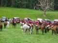 Flint and Denbigh Hunt Pony Club image 4