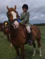 Flint and Denbigh Hunt Pony Club image 1