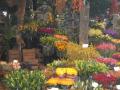 Flowerworks of Gloucestershire (Florist) image 2
