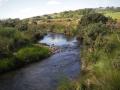 Fly Fishing Devon image 3