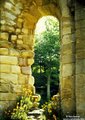 Fountains Abbey image 8