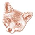 Fox Payne Associates logo