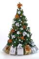 Frosts Christmas Tree Hire image 2