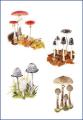 Fungi for Fun image 8