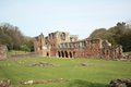 Furness Abbey image 3