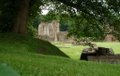 Furness Abbey image 4