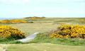 Furness Golf Club image 1