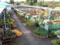 GRASMERE GARDENS GARDEN CENTRE image 5