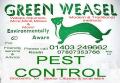 GREEN WEASEL PEST CONTROL image 2
