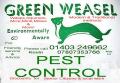 GREEN WEASEL PEST CONTROL image 2