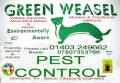 GREEN WEASEL PEST CONTROL logo