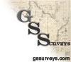 GS Surveys logo