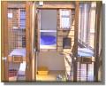 Gemima's Boarding Cattery image 2