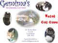 Gemima's Boarding Cattery logo