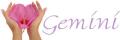 Gemini Beauty logo