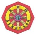Genbukan Ninpo Bugei Hoshikage Dojo logo