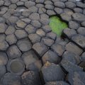 Giants Causeway image 10