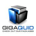 GigaQuid Ltd image 1
