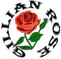 Gillian Rose Curtains Ltd image 2