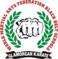 Glamorgan Karate image 1