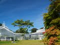Glasgow Botanic Gardens image 4