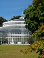 Glasgow Botanic Gardens image 5
