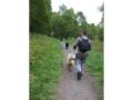 Glasgow Elite Dog Walking Walker Services image 2