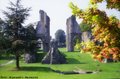 Glastonbury Abbey image 7