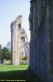 Glastonbury Abbey image 8