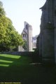 Glastonbury Abbey image 9