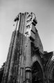Glastonbury Abbey image 10