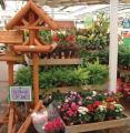 Glebe Garden Centre image 4