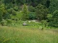 Glendurgan Garden image 5